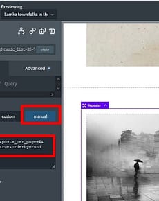 Using ‚Manual‘ option in Repeater/Easy Posts in Oxygen Builder | Random/Dynamic Post Display